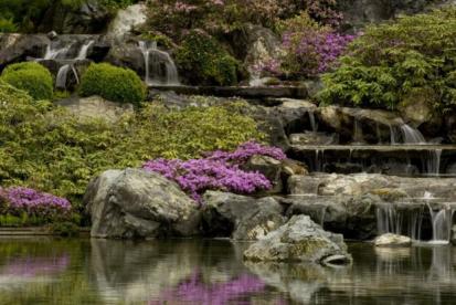 Japanese Garden, Image Courtesy of the Botanical Gardens